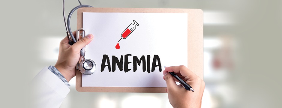 whatsapp-image-2024-08-07-at-15-20-05-742053 (1)